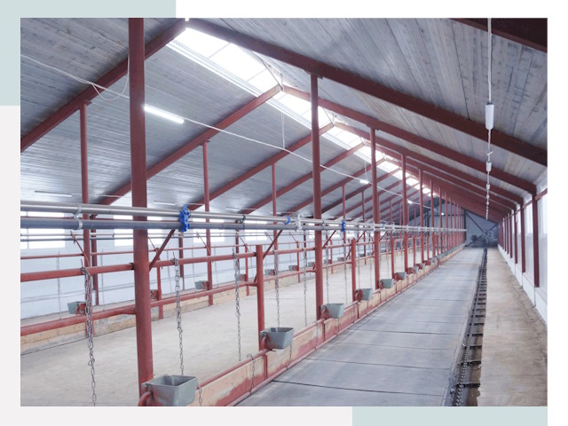 Строительство коровников в Дюртюли от 626 руб.