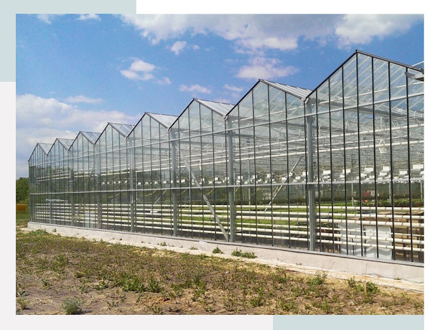 Строительство теплиц в Дюртюли от 626 руб. за м²