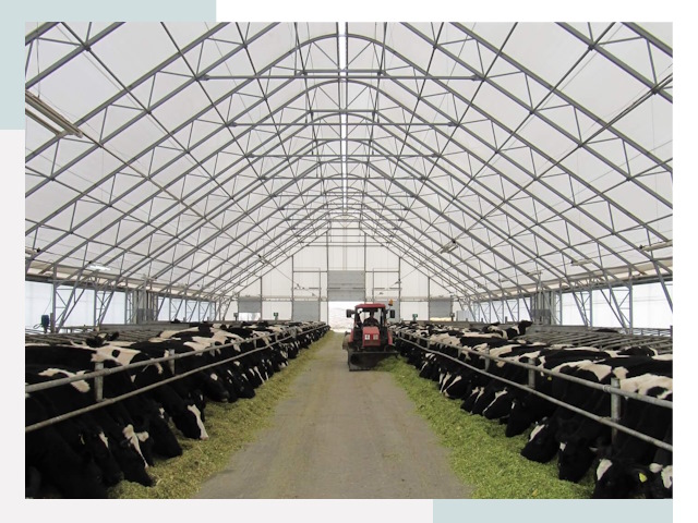 Тентовые коровники в Дюртюли от 626 руб. - Надежно и доступно